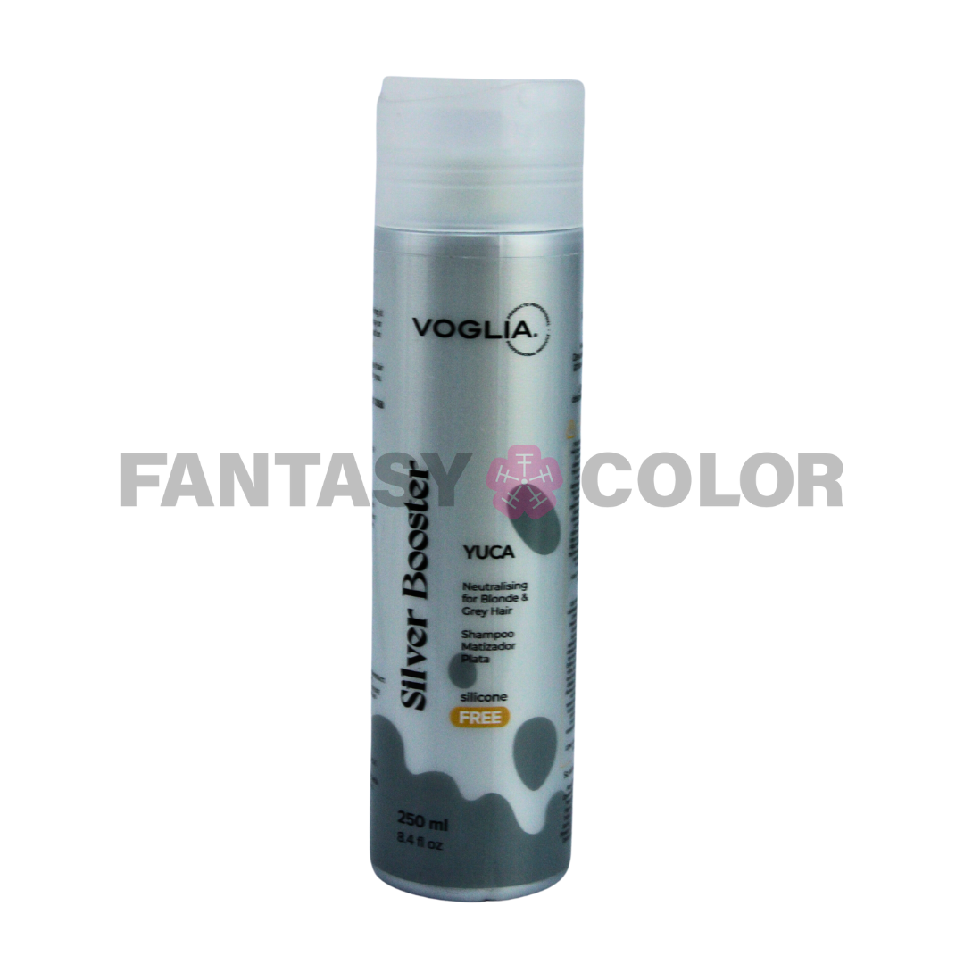 SILVER BOOSTER - SHAMPOO MATIZADOR TONO VIOLETA