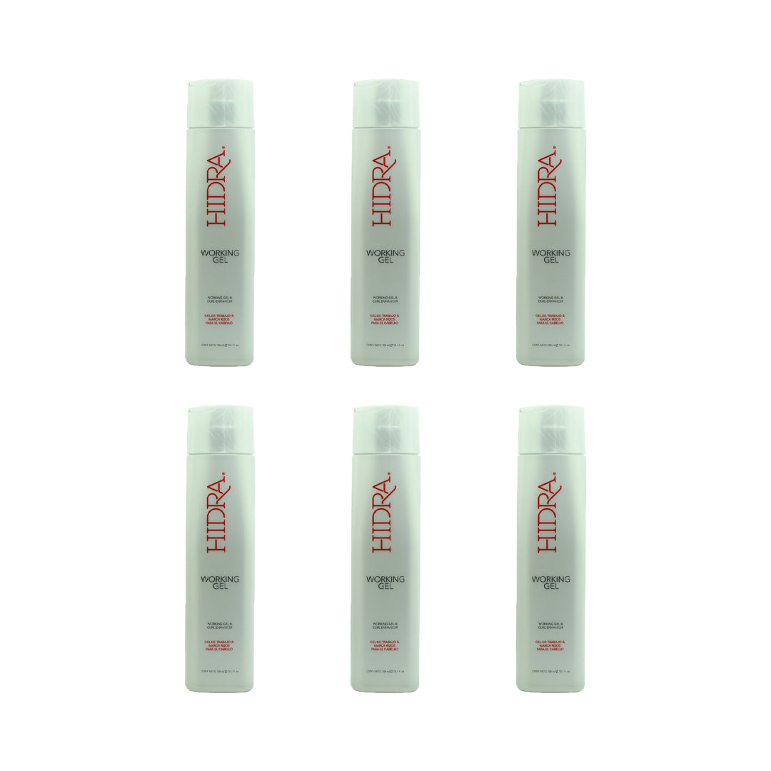 SET DE 6 HIDRA WORKING GEL 300 ML