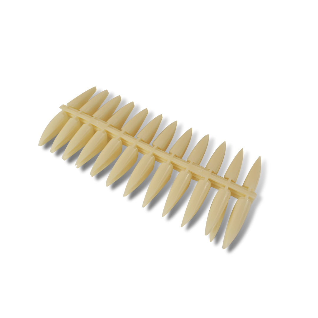 MUESTRARIO DE LANZA C/24