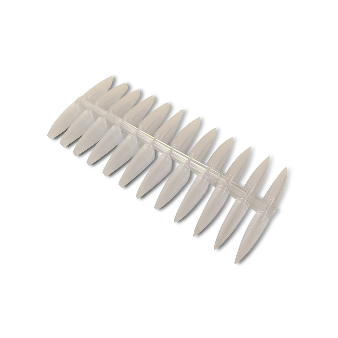 MUESTRARIO DE LANZA C/24