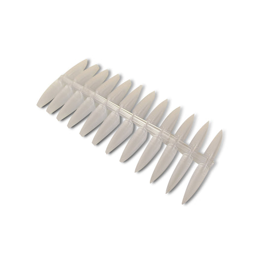 MUESTRARIO DE LANZA C/24