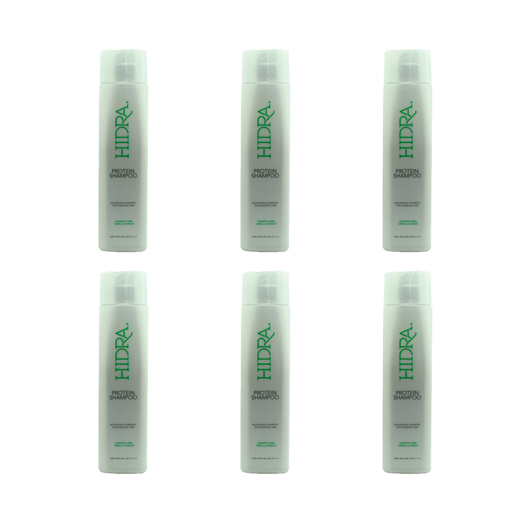 SET DE 6 HIDRA PROTEIN SHAMPOO 300 ML – Fantasy Color